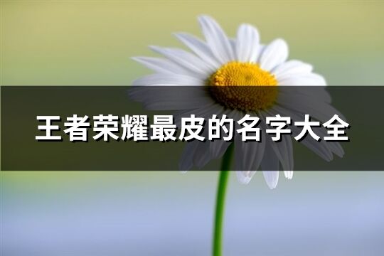 王者荣耀最皮的名字大全(优选273个)