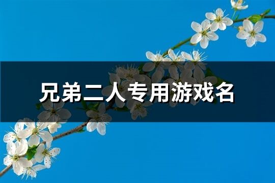 兄弟二人专用游戏名(共105个)