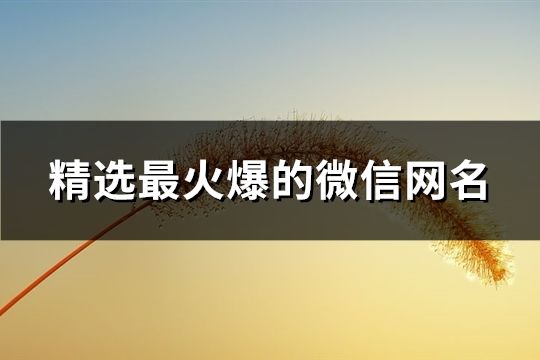 精选最火爆的微信网名(共129个)