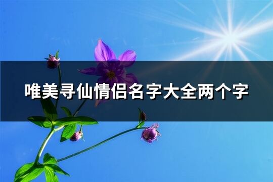 唯美寻仙情侣名字大全两个字(优选184个)