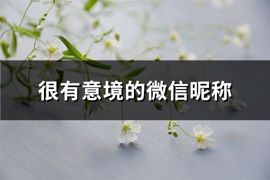 很有意境的微信昵称(共403个)