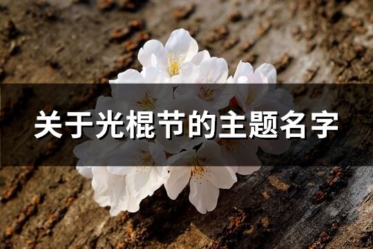 关于光棍节的主题名字(共80个)