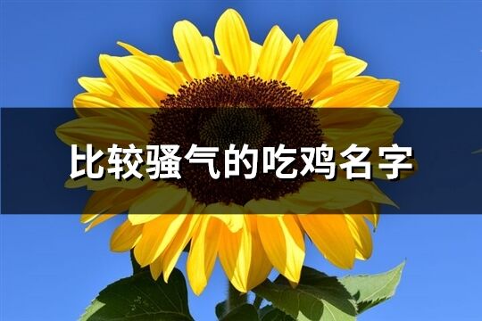 比较骚气的吃鸡名字(326个)