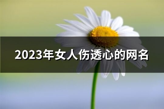 2023年女人伤透心的网名(精选164个)