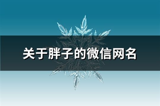 关于胖子的微信网名(124个)