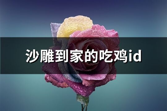 沙雕到家的吃鸡id(共272个)