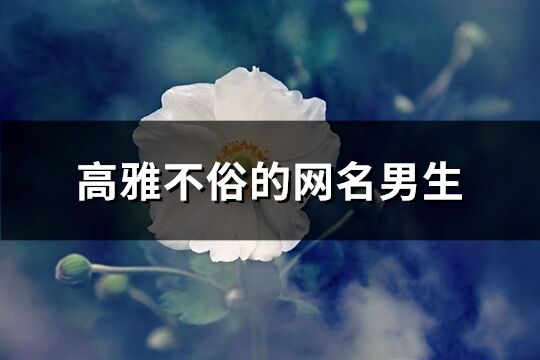 高雅不俗的网名男生(共113个)