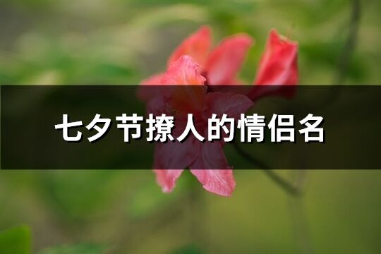 七夕节撩人的情侣名(共246个)