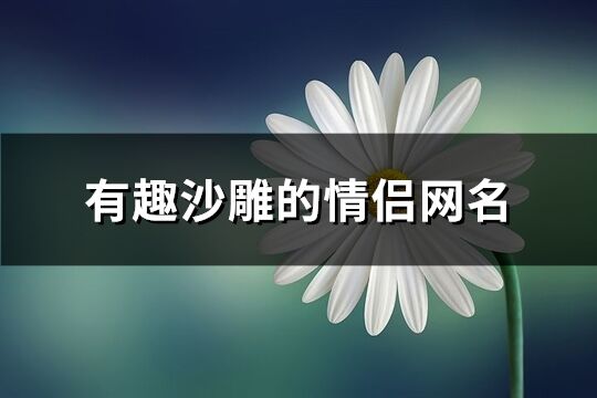 有趣沙雕的情侣网名(精选66个)