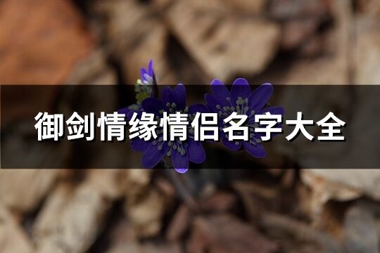 御剑情缘情侣名字大全(共72个)