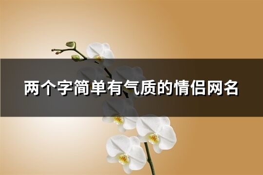 两个字简单有气质的情侣网名(共193个)