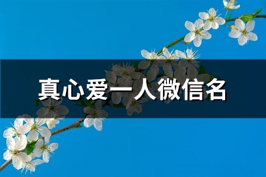 真心爱一人微信名(精选287个)