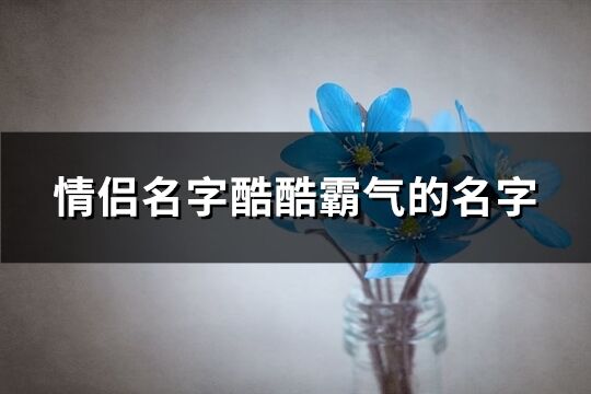 情侣名字酷酷霸气的名字(共153个)