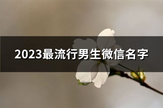 2023最流行男生微信名字(精选4047个)