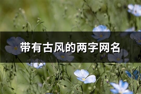 带有古风的两字网名(精选609个)