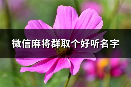 微信麻将群取个好听名字(精选63个)