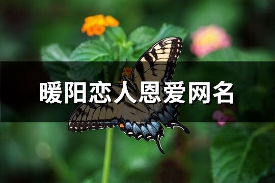 暖阳恋人恩爱网名(精选214个)