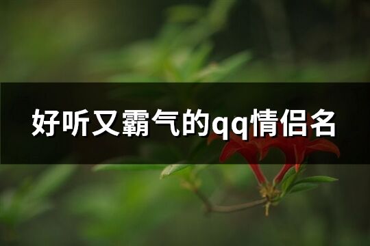 好听又霸气的qq情侣名(205个)