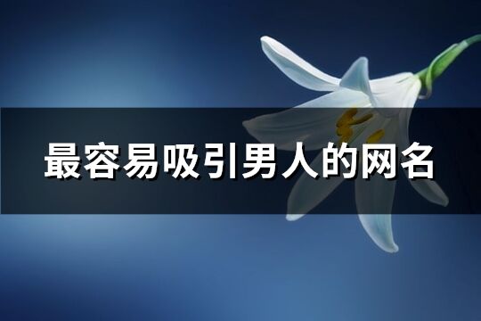 最容易吸引男人的网名(共285个)