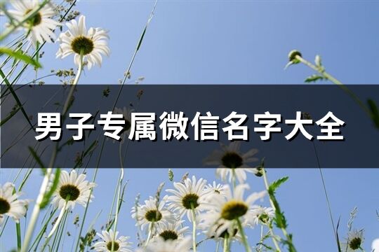 男子专属微信名字大全(637个)