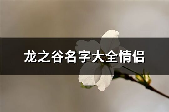 龙之谷名字大全情侣(精选128个)