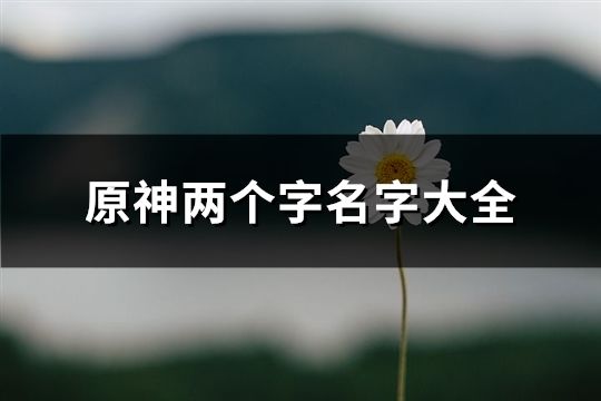 原神两个字名字大全(1135个)