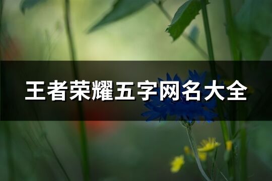 王者荣耀五字网名大全(优选230个)