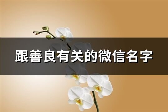 跟善良有关的微信名字(精选414个)