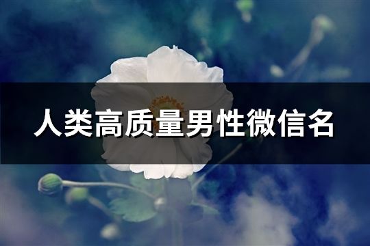 人类高质量男性微信名(精选265个)