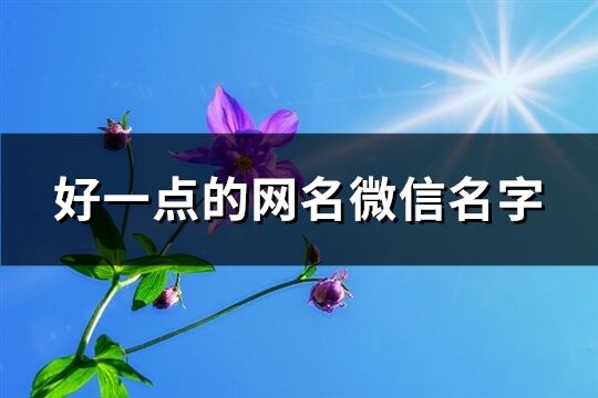 好一点的网名微信名字(303个)