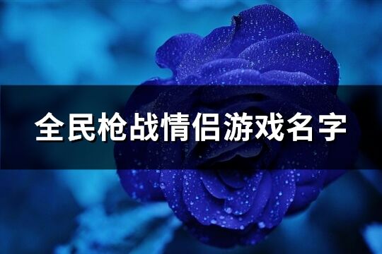 全民枪战情侣游戏名字(共76个)