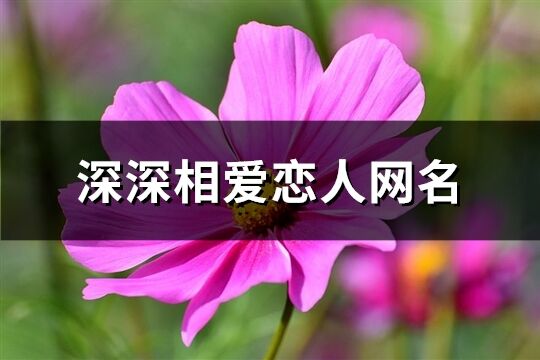 深深相爱恋人网名(精选151个)