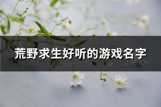 荒野求生好听的游戏名字(优选233个)