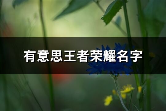 有意思王者荣耀名字(340个)