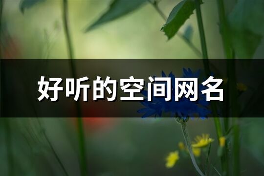 好听的空间网名(精选393个)