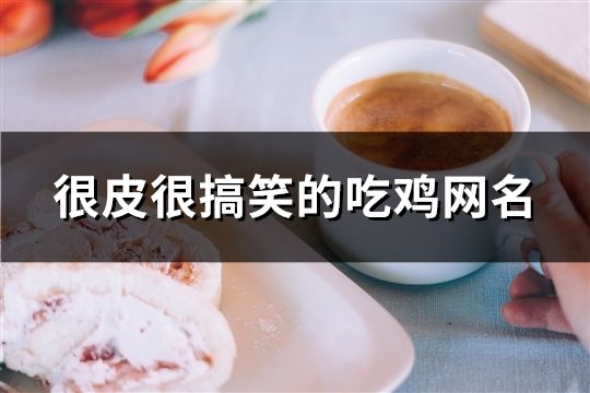 很皮很搞笑的吃鸡网名(精选459个)