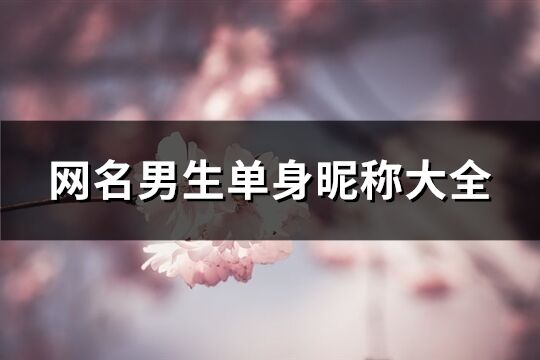 网名男生单身昵称大全(精选721个)