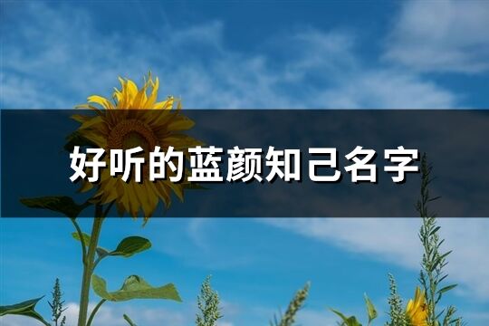 好听的蓝颜知己名字(精选118个)