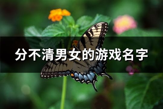 分不清男女的游戏名字(235个)