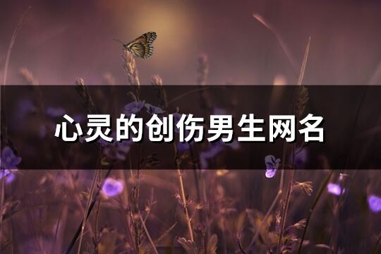 心灵的创伤男生网名(共522个)