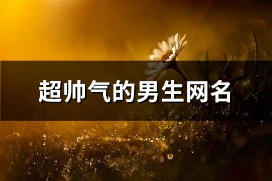 超帅气的男生网名(共166个)