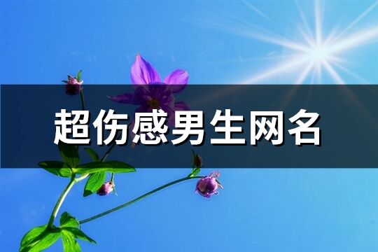 超伤感男生网名(优选752个)