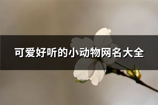 可爱好听的小动物网名大全(442个)