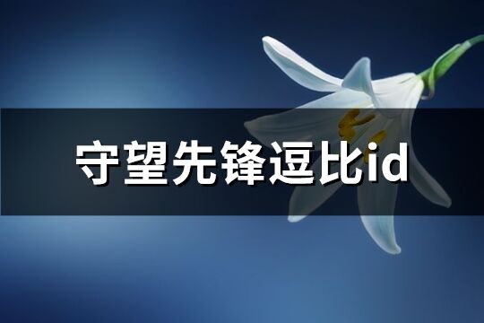 守望先锋逗比id(228个)