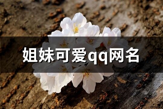 姐妹可爱qq网名(共70个)