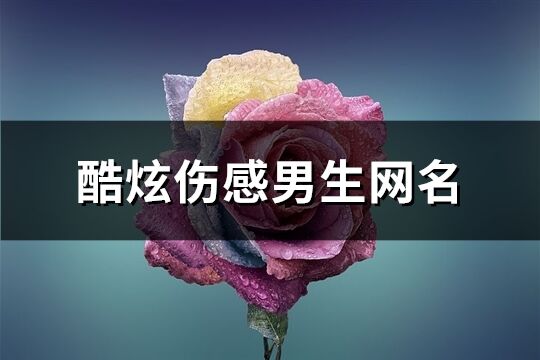 酷炫伤感男生网名(共674个)