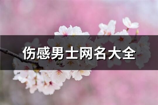 伤感男士网名大全(共305个)