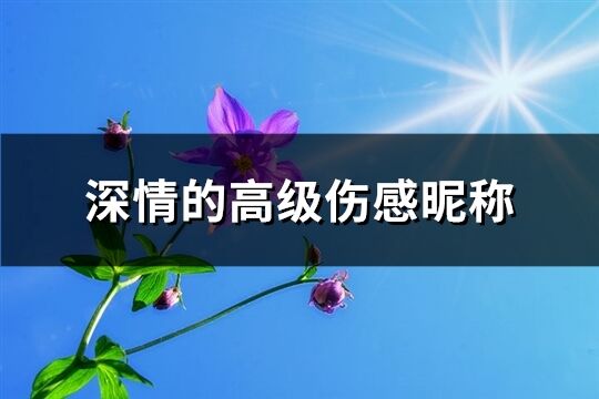 深情的高级伤感昵称(61个)