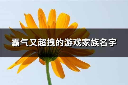 霸气又超拽的游戏家族名字(精选618个)