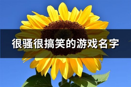 很骚很搞笑的游戏名字(精选127个)